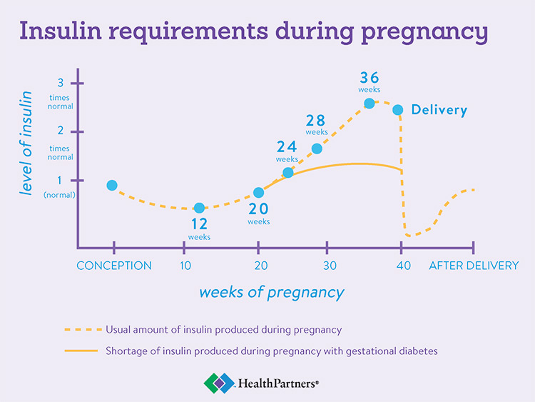 A table that shows insulin requirements steadily increase during pregnancy, peak at 36 weeks, and then drop sharply immediately following delivery.